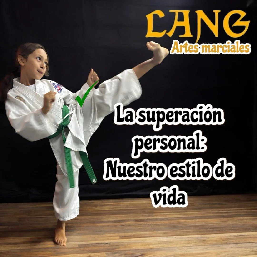 Imagen Lang (1)